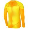 Bluza Nike Gardien IV Goalkeeper JSY DH7967 719 żółty S